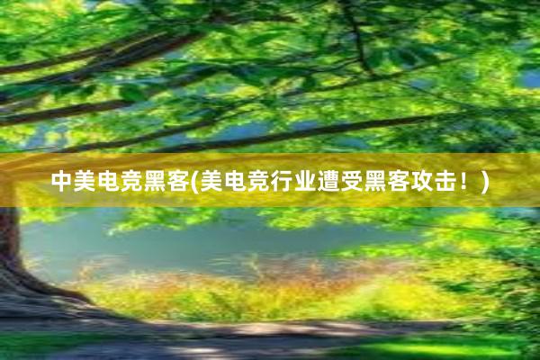 中美电竞黑客(美电竞行业遭受黑客攻击！)