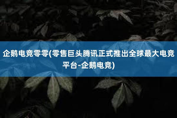 企鹅电竞零零(零售巨头腾讯正式推出全球最大电竞平台-企鹅电竞)