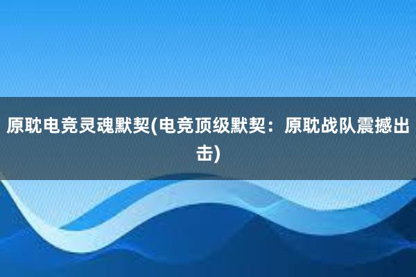 原耽电竞灵魂默契(电竞顶级默契：原耽战队震撼出击)