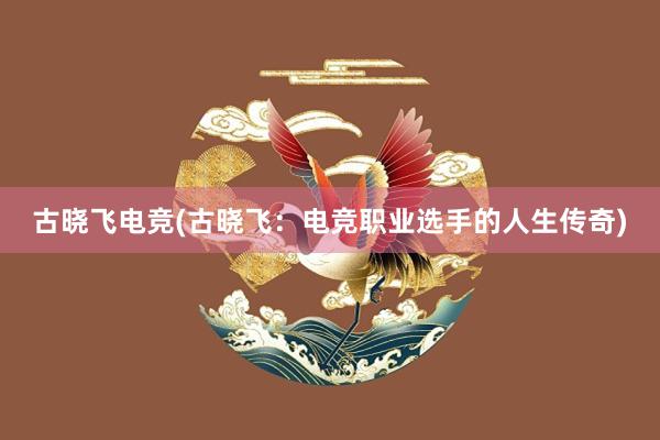 古晓飞电竞(古晓飞：电竞职业选手的人生传奇)