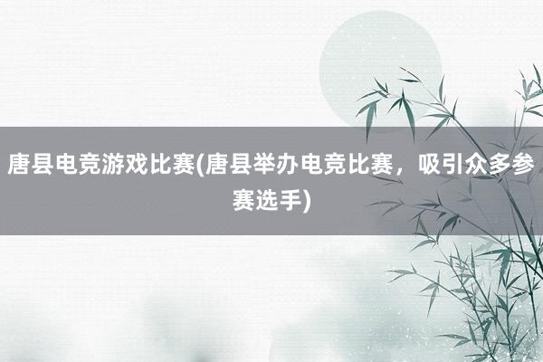 唐县电竞游戏比赛(唐县举办电竞比赛，吸引众多参赛选手)