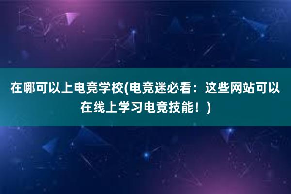 在哪可以上电竞学校(电竞迷必看：这些网站可以在线上学习电竞技能！)