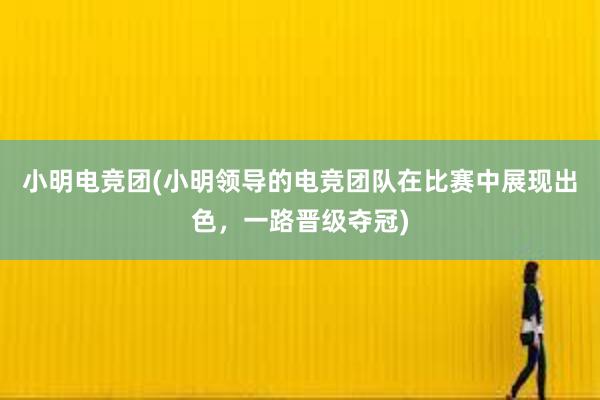 小明电竞团(小明领导的电竞团队在比赛中展现出色，一路晋级夺冠)