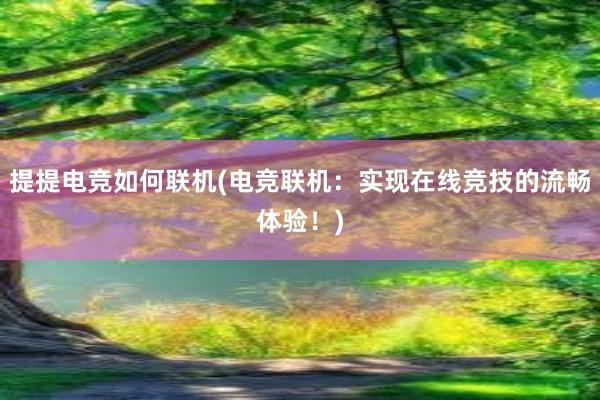 提提电竞如何联机(电竞联机：实现在线竞技的流畅体验！)