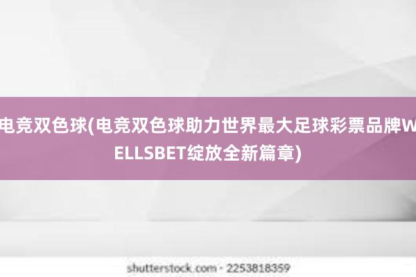 电竞双色球(电竞双色球助力世界最大足球彩票品牌WELLSBET绽放全新篇章)