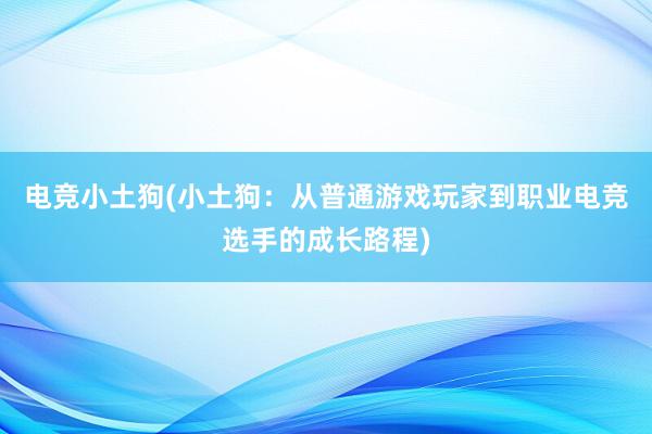 电竞小土狗(小土狗：从普通游戏玩家到职业电竞选手的成长路程)