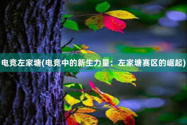 电竞左家塘(电竞中的新生力量：左家塘赛区的崛起)