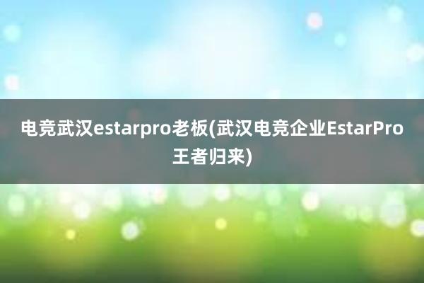 电竞武汉estarpro老板(武汉电竞企业EstarPro王者归来)