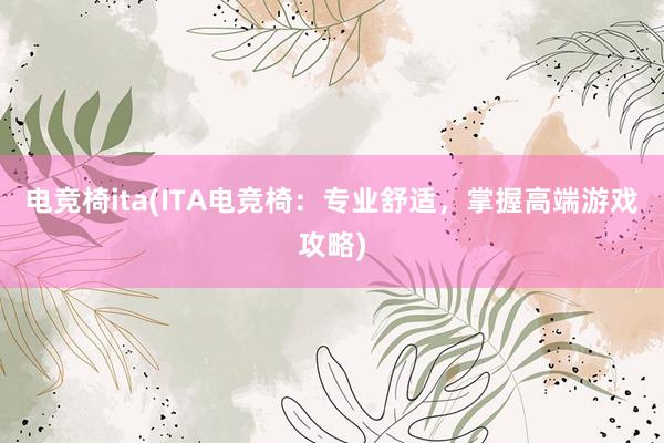 电竞椅ita(ITA电竞椅：专业舒适，掌握高端游戏攻略)