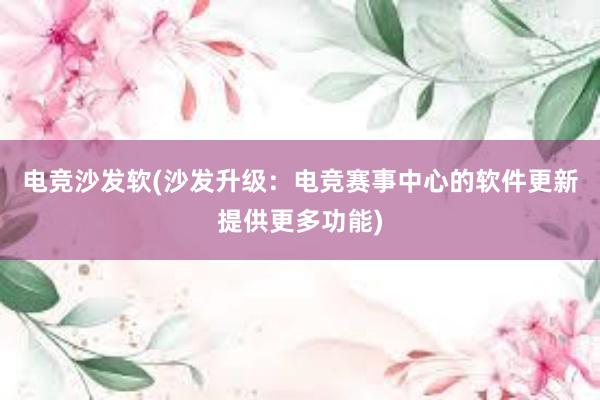 电竞沙发软(沙发升级：电竞赛事中心的软件更新提供更多功能)