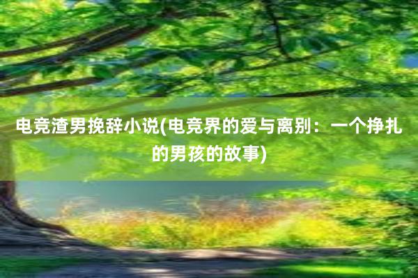 电竞渣男挽辞小说(电竞界的爱与离别：一个挣扎的男孩的故事)