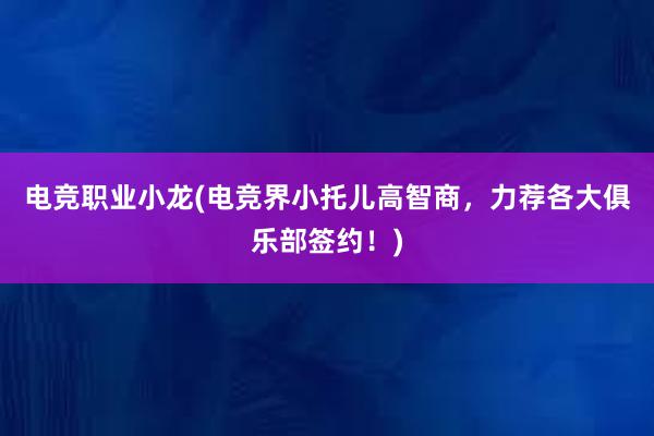 电竞职业小龙(电竞界小托儿高智商，力荐各大俱乐部签约！)