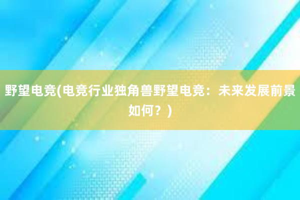 野望电竞(电竞行业独角兽野望电竞：未来发展前景如何？)