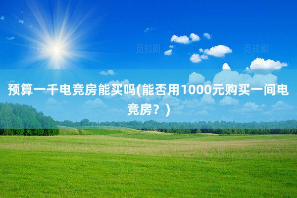 预算一千电竞房能买吗(能否用1000元购买一间电竞房？)