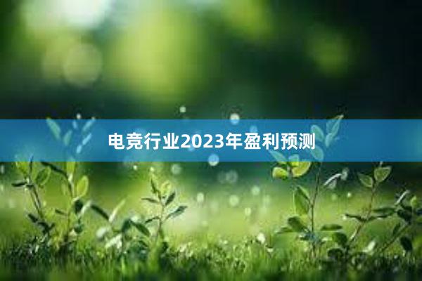 电竞行业2023年盈利预测