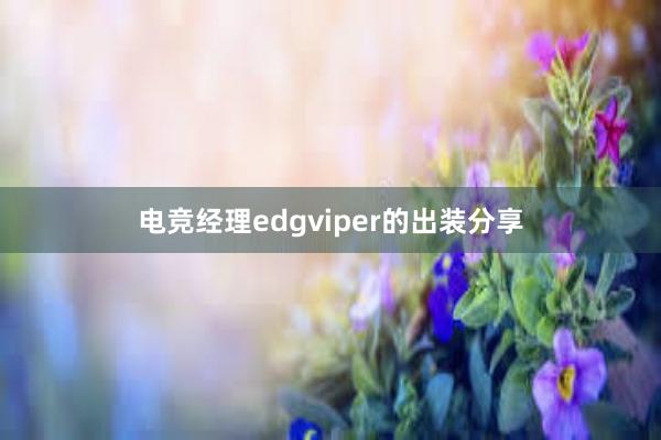 电竞经理edgviper的出装分享