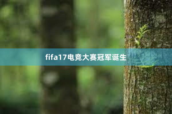 fifa17电竞大赛冠军诞生