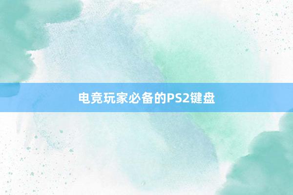 电竞玩家必备的PS2键盘