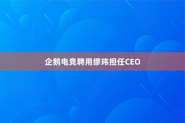 企鹅电竞聘用缪玮担任CEO