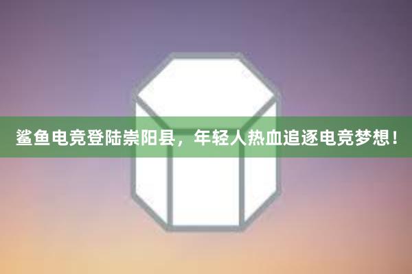 鲨鱼电竞登陆崇阳县，年轻人热血追逐电竞梦想！