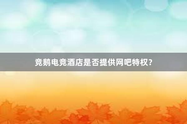 竞鹅电竞酒店是否提供网吧特权？