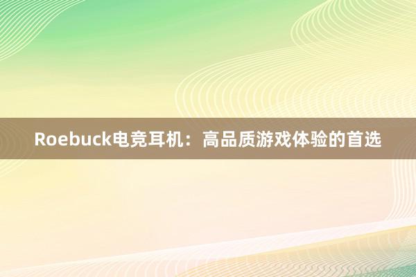 Roebuck电竞耳机：高品质游戏体验的首选