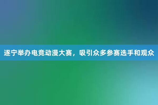 遂宁举办电竞动漫大赛，吸引众多参赛选手和观众