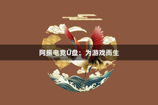 阿振电竞U盘：为游戏而生