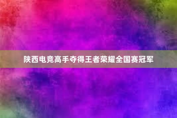 陕西电竞高手夺得王者荣耀全国赛冠军