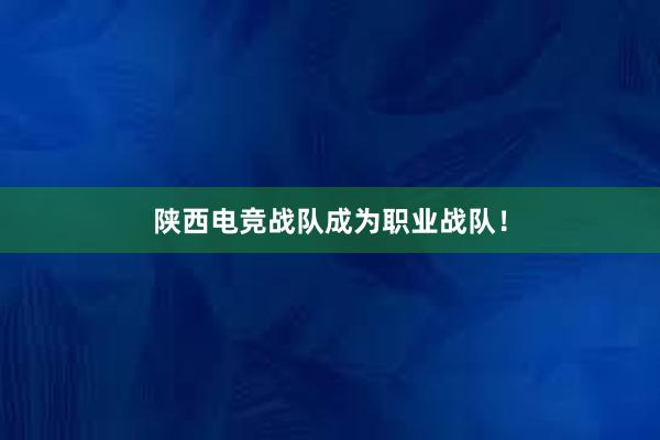 陕西电竞战队成为职业战队！